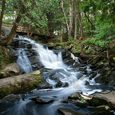 梅林系统V2Ray配置全攻略：解锁网络自由的关键步骤