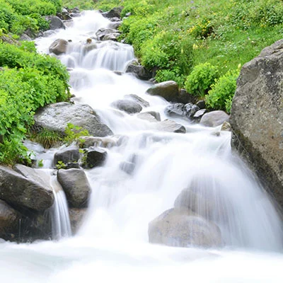 群辉NAS上打造高效翻墙利器：V2Ray完整安装配置指南